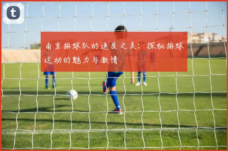 南京排球队的速度之美：探秘排球运动的魅力与激情