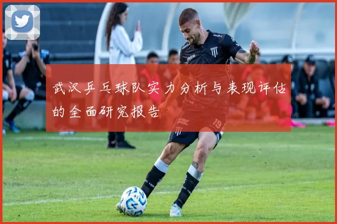 武汉乒乓球队实力分析与表现评估的全面研究报告