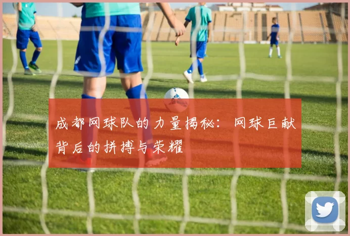 成都网球队的力量揭秘：网球巨献背后的拼搏与荣耀