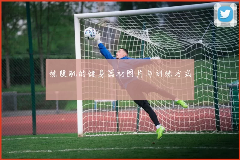 练腹肌的健身器材图片与训练方式