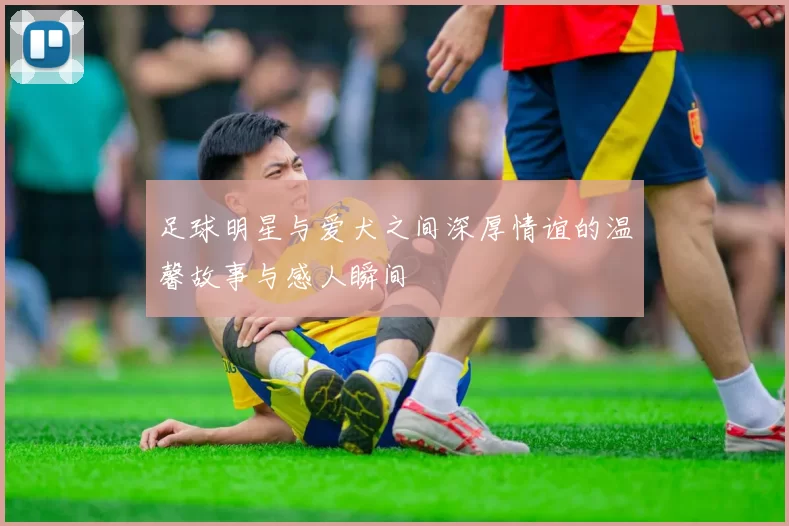 足球明星与爱犬之间深厚情谊的温馨故事与感人瞬间