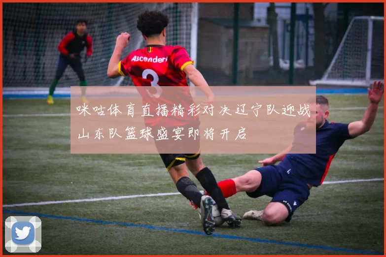 咪咕体育直播精彩对决辽宁队迎战山东队篮球盛宴即将开启