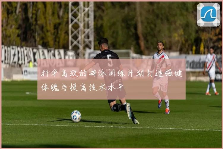 科学高效的游泳训练计划打造强健体魄与提高技术水平
