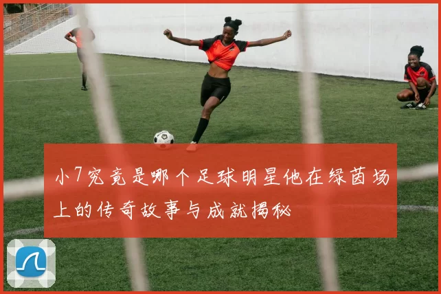 小7究竟是哪个足球明星他在绿茵场上的传奇故事与成就揭秘