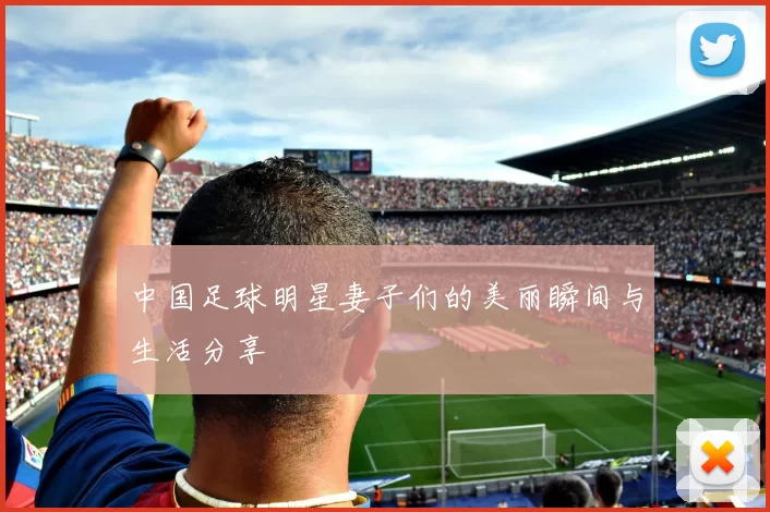 中国足球明星妻子们的美丽瞬间与生活分享