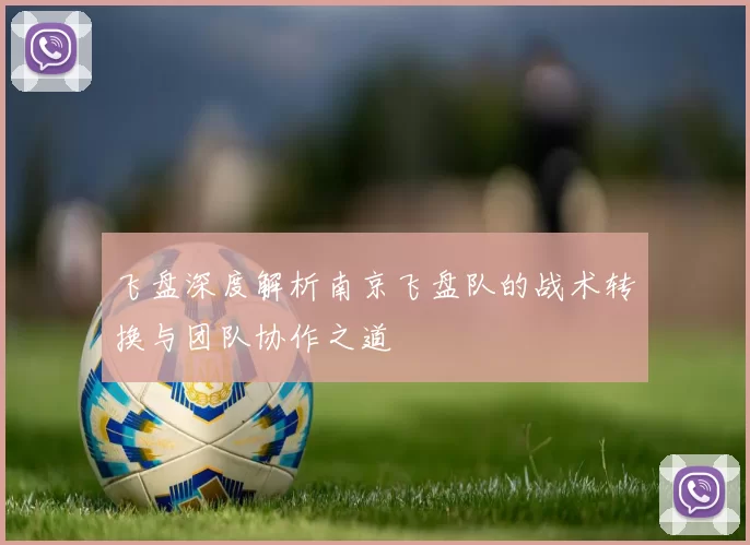 飞盘深度解析南京飞盘队的战术转换与团队协作之道
