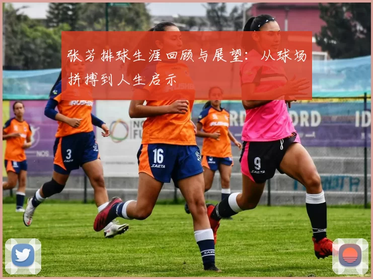 张芳排球生涯回顾与展望：从球场拼搏到人生启示