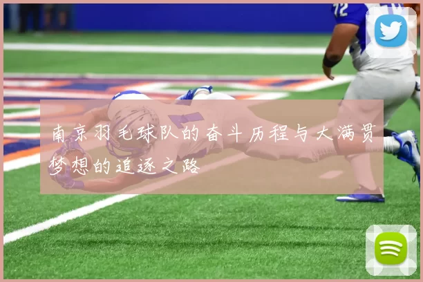 南京羽毛球队的奋斗历程与大满贯梦想的追逐之路