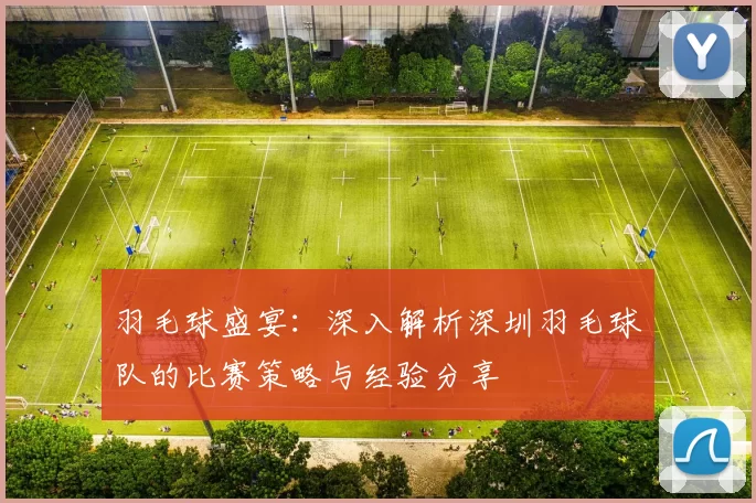 羽毛球盛宴：深入解析深圳羽毛球队的比赛策略与经验分享