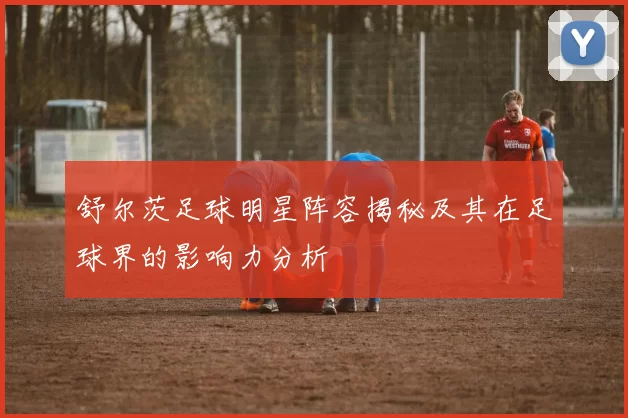 舒尔茨足球明星阵容揭秘及其在足球界的影响力分析