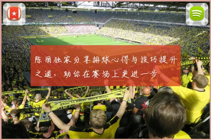 陈丽独家分享排球心得与技巧提升之道，助你在赛场上更进一步